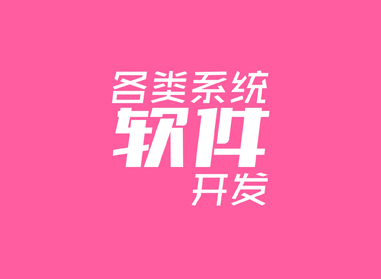 進(jìn)入了解各類(lèi)系統(tǒng)、軟件開(kāi)發(fā)